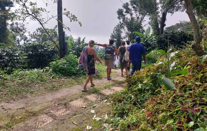 Holywell tour in St Andrew, Jamaica