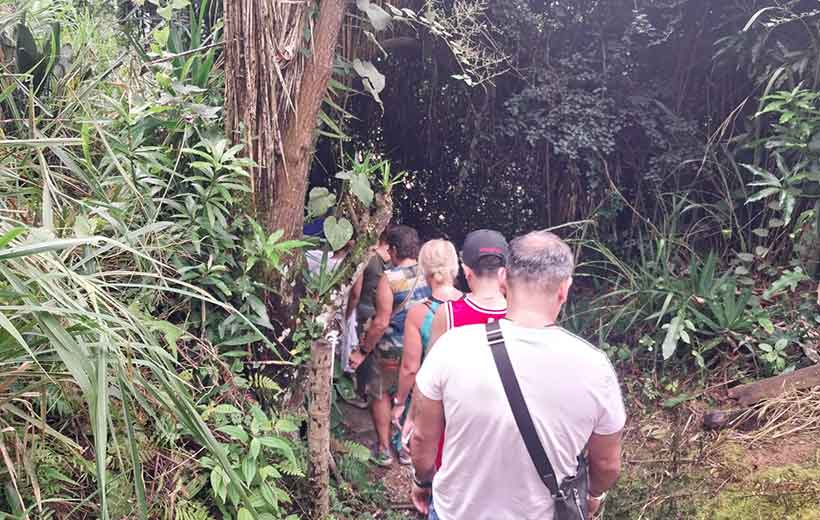 Blue Mountains Hiking Tour